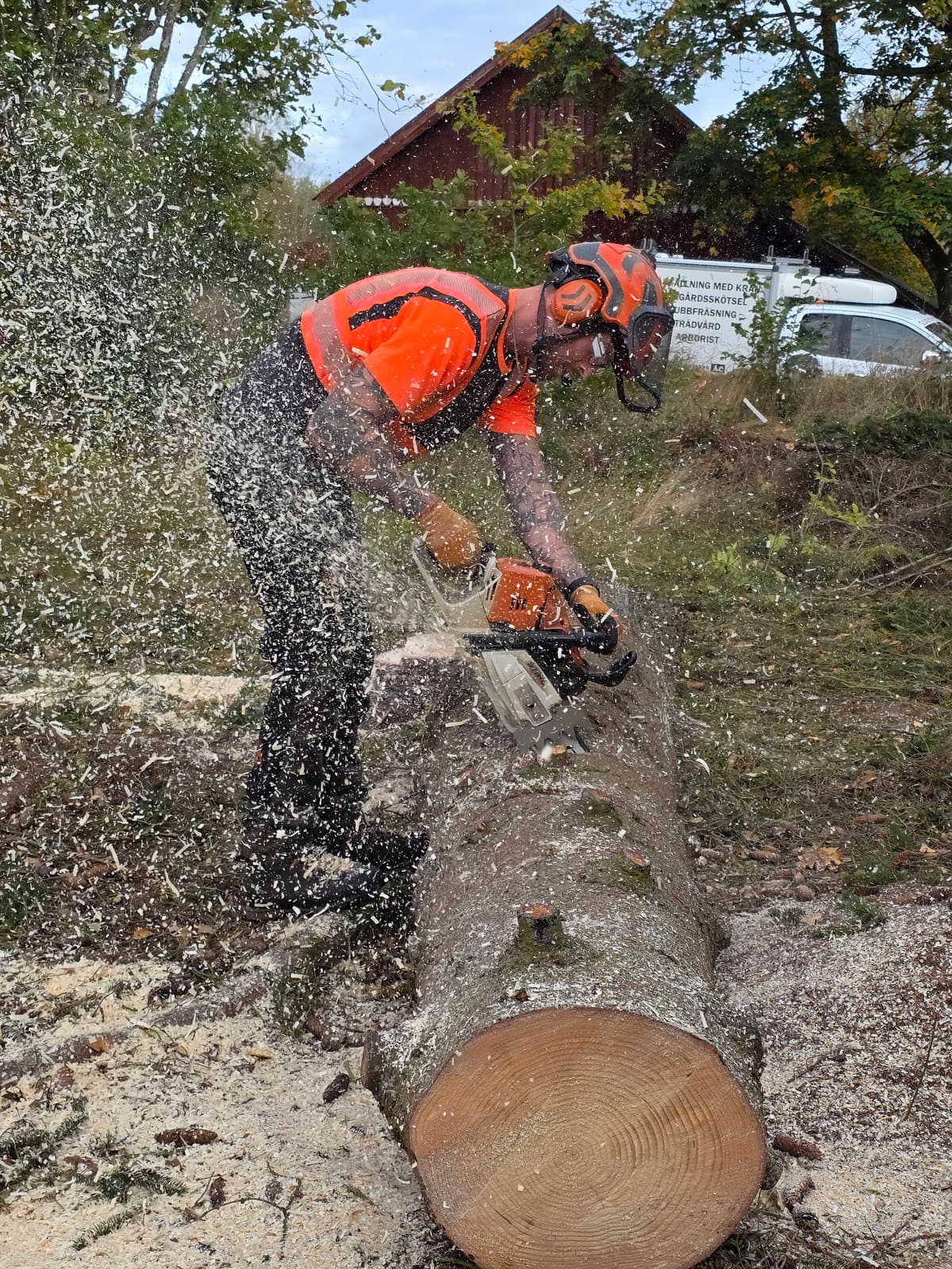 Projektbild 6 från trädvård och trädfällning utförd av Gustavssons Skog & Trädvård AB