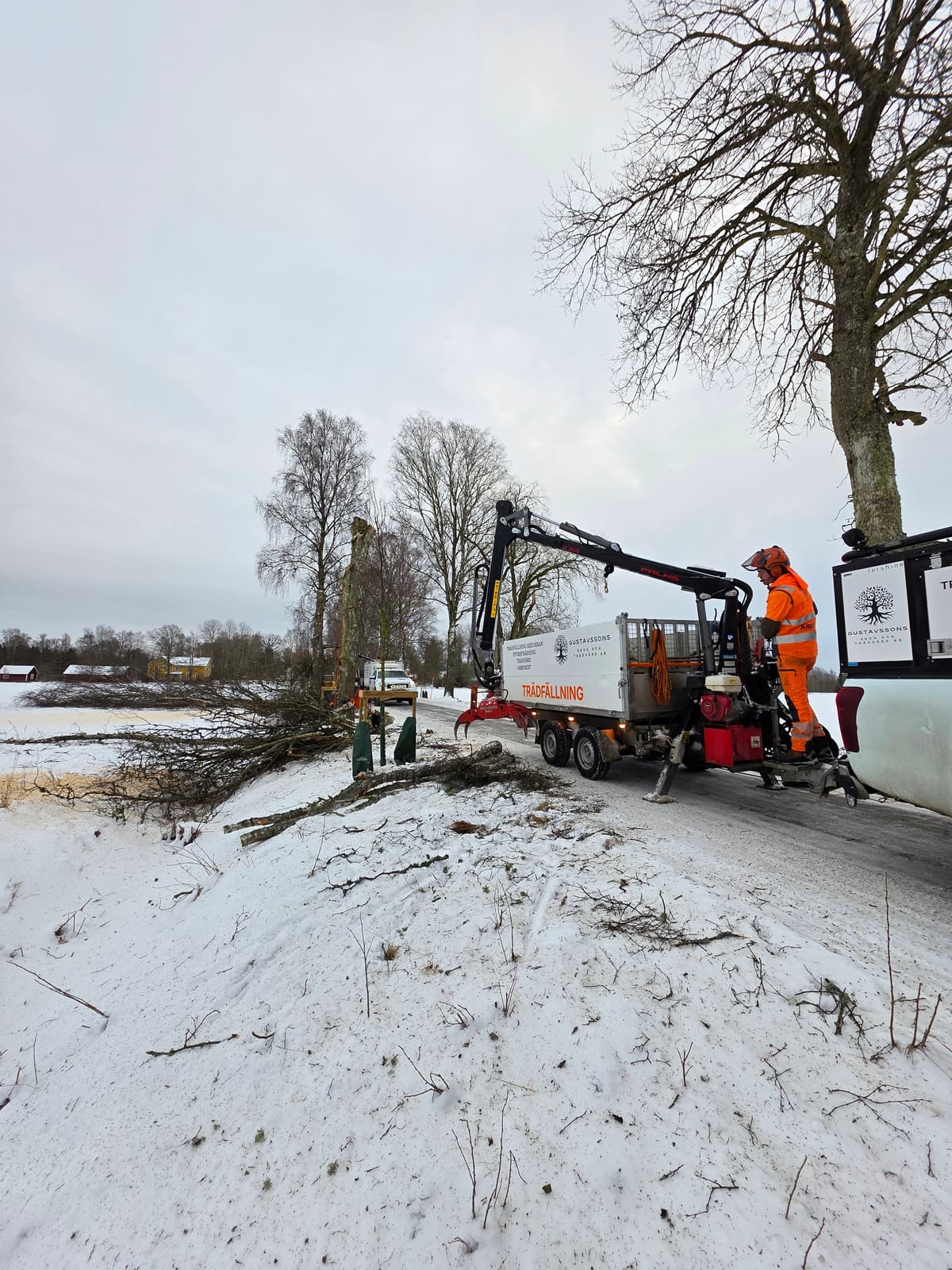 Galleribild 18 från trädvård och trädfällning utförd av Gustavssons Skog & Trädvård AB