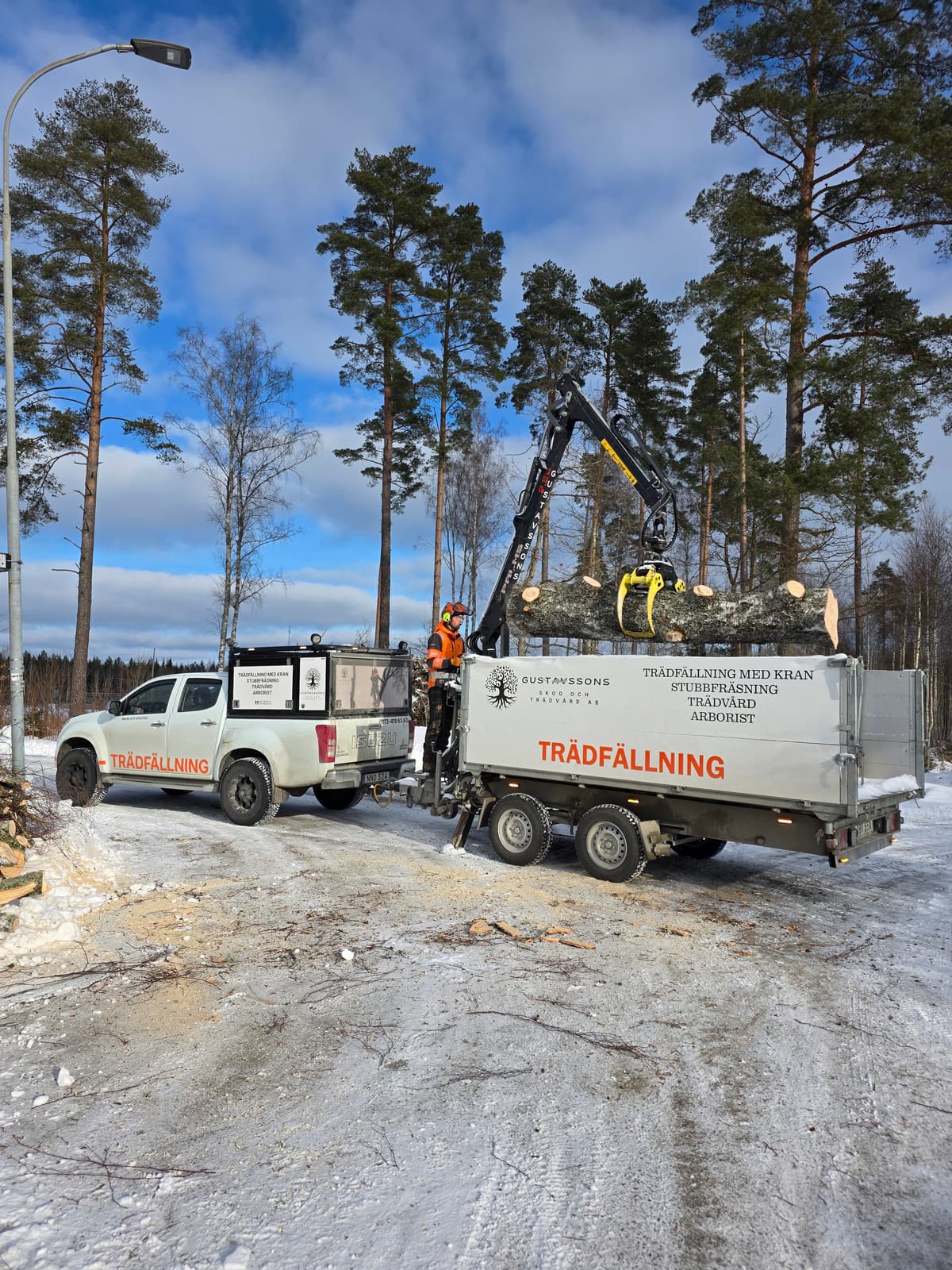 Galleribild 21 från trädvård och trädfällning utförd av Gustavssons Skog & Trädvård AB