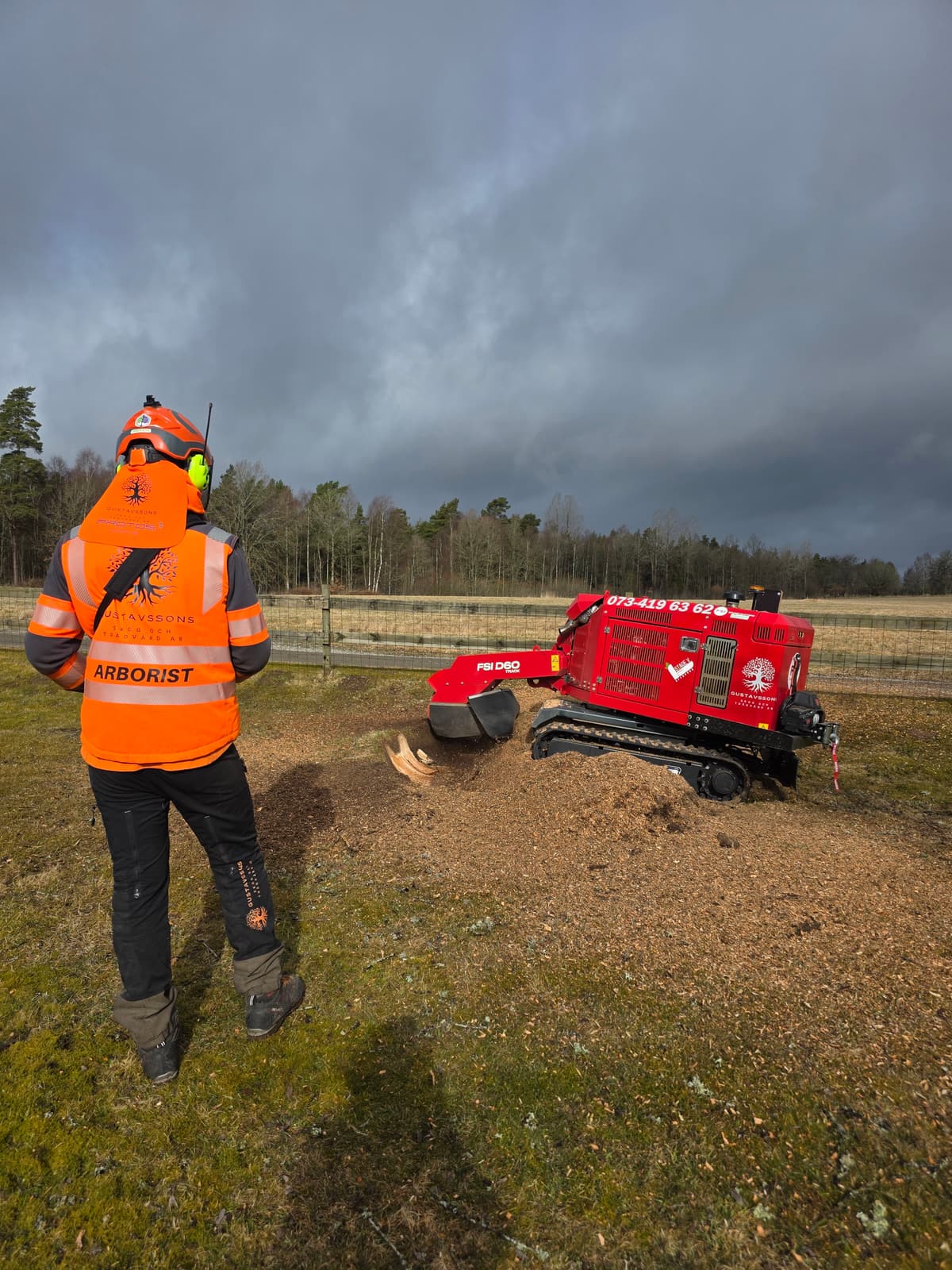 Galleribild 30 från trädvård och trädfällning utförd av Gustavssons Skog & Trädvård AB