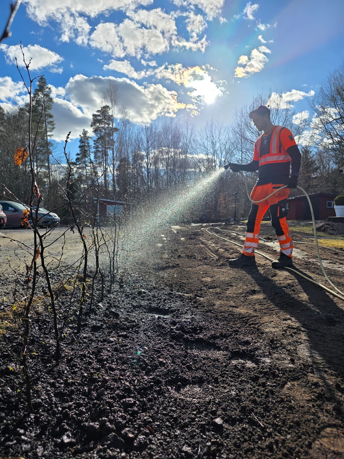Galleribild 34 från trädvård och trädfällning utförd av Gustavssons Skog & Trädvård AB