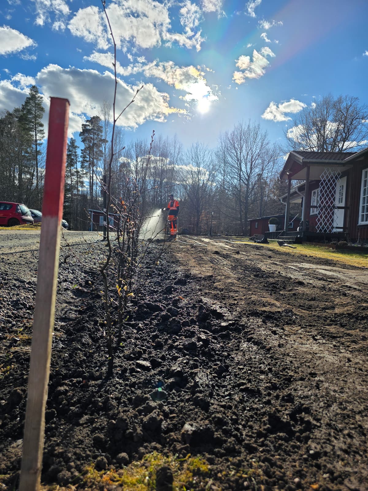 Galleribild 35 från trädvård och trädfällning utförd av Gustavssons Skog & Trädvård AB