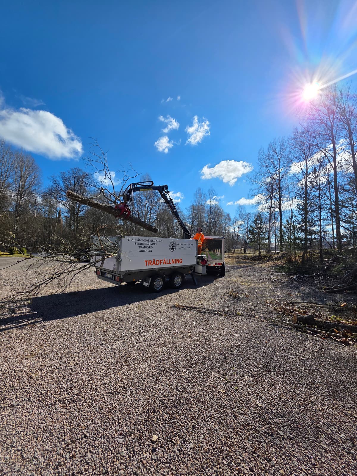 Galleribild 36 från trädvård och trädfällning utförd av Gustavssons Skog & Trädvård AB