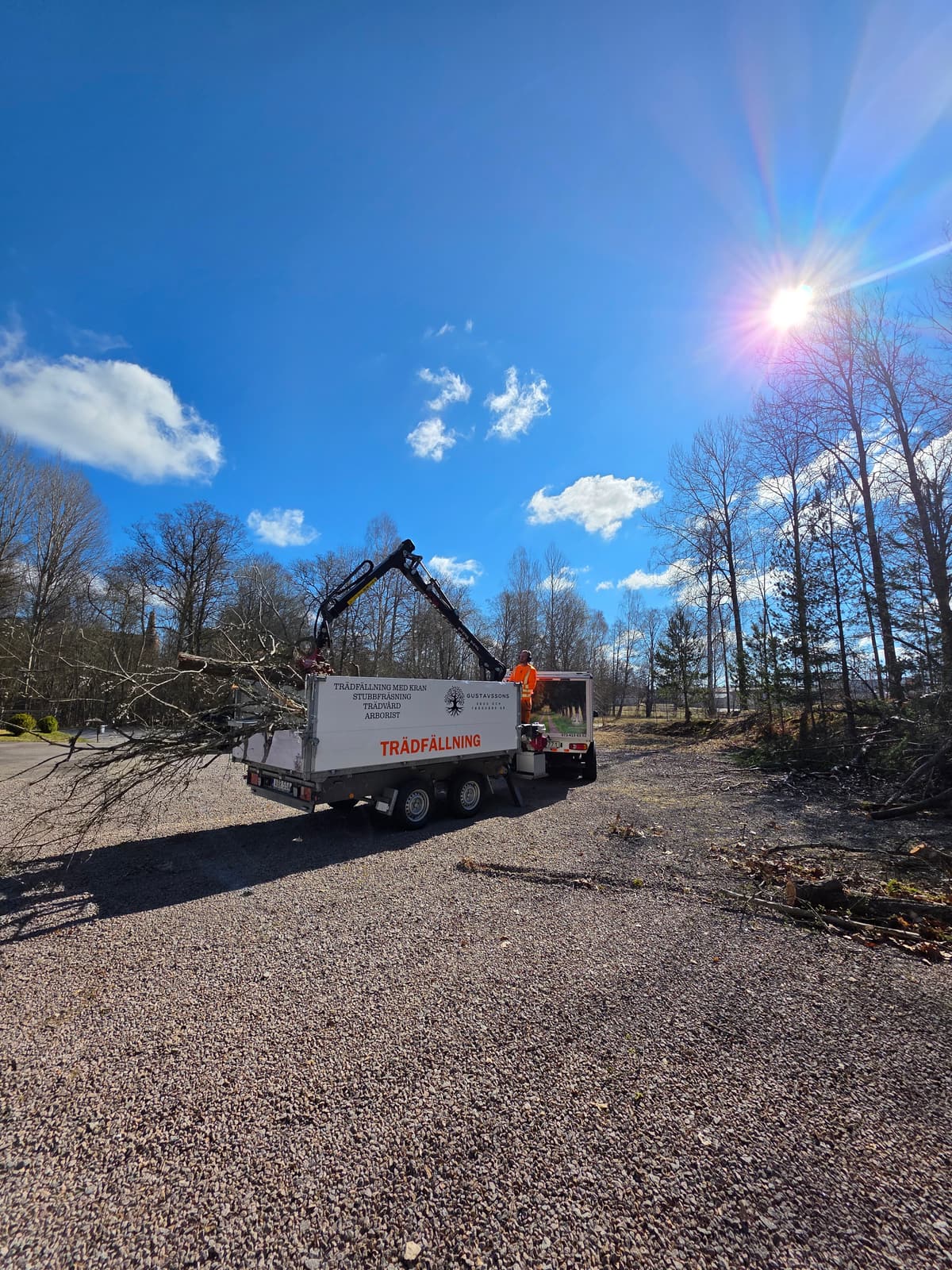 Galleribild 37 från trädvård och trädfällning utförd av Gustavssons Skog & Trädvård AB