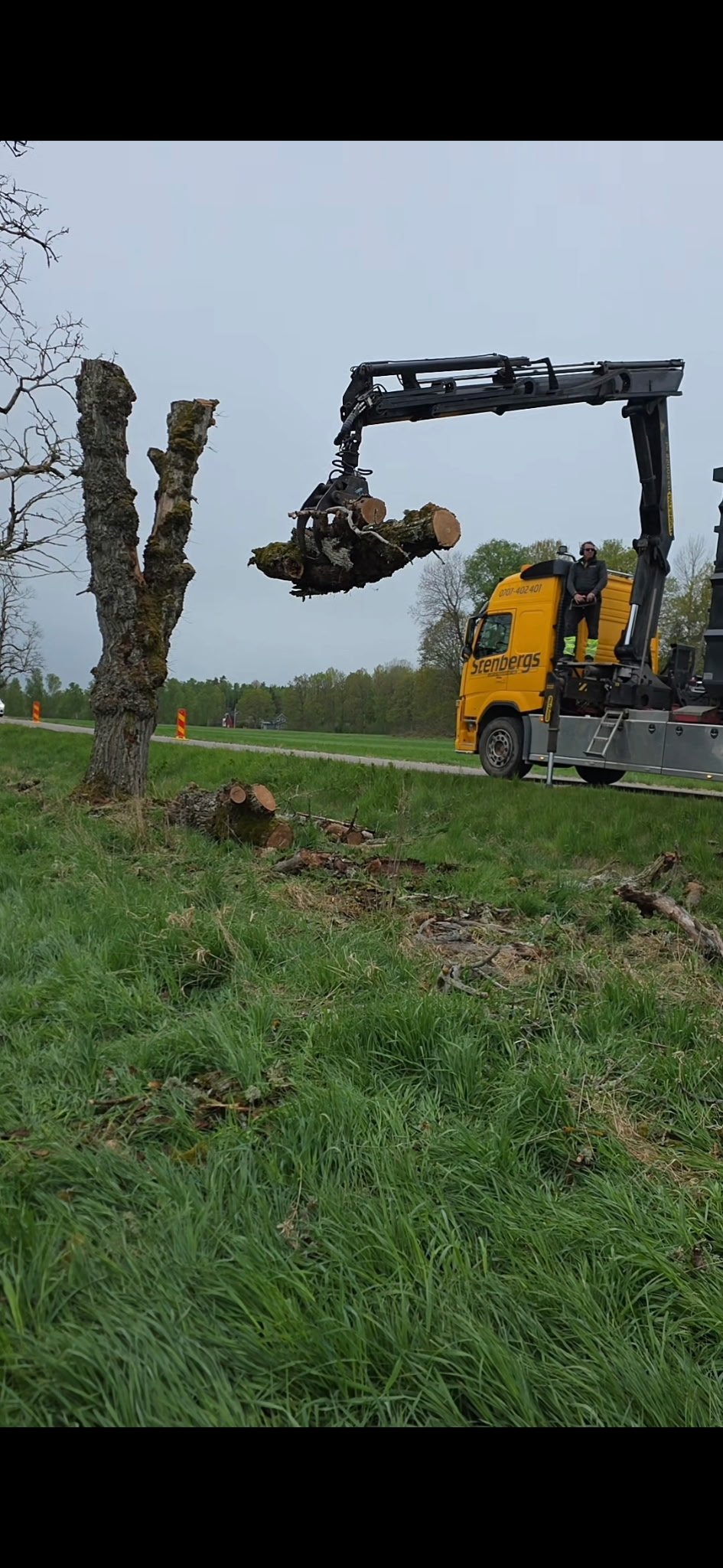 Galleribild 45 från trädvård och trädfällning utförd av Gustavssons Skog & Trädvård AB