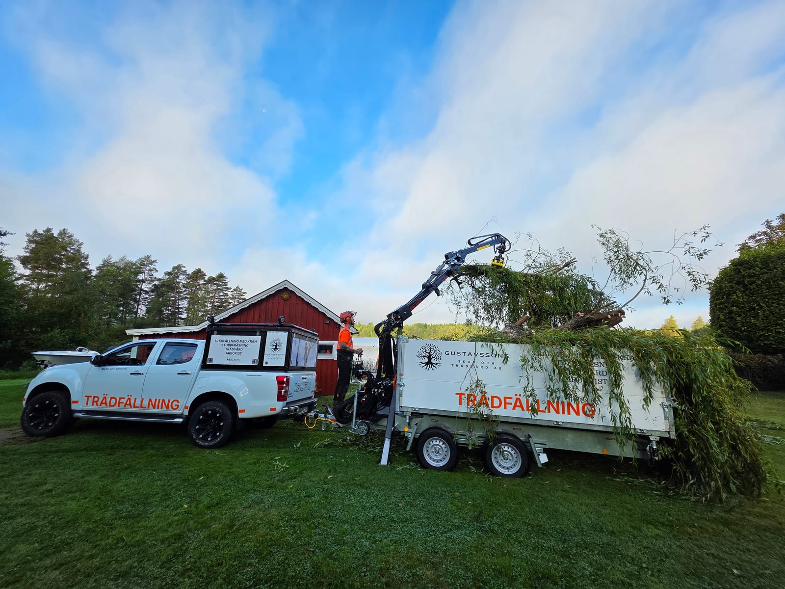 Bortforsling av trädmaterial i Kronoberg