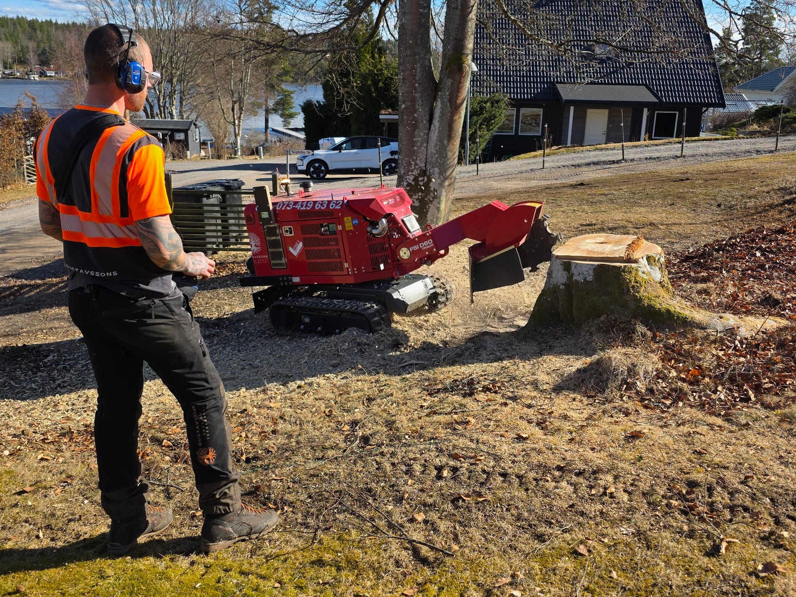 Stubbfräsning efter trädfällning i Växjö