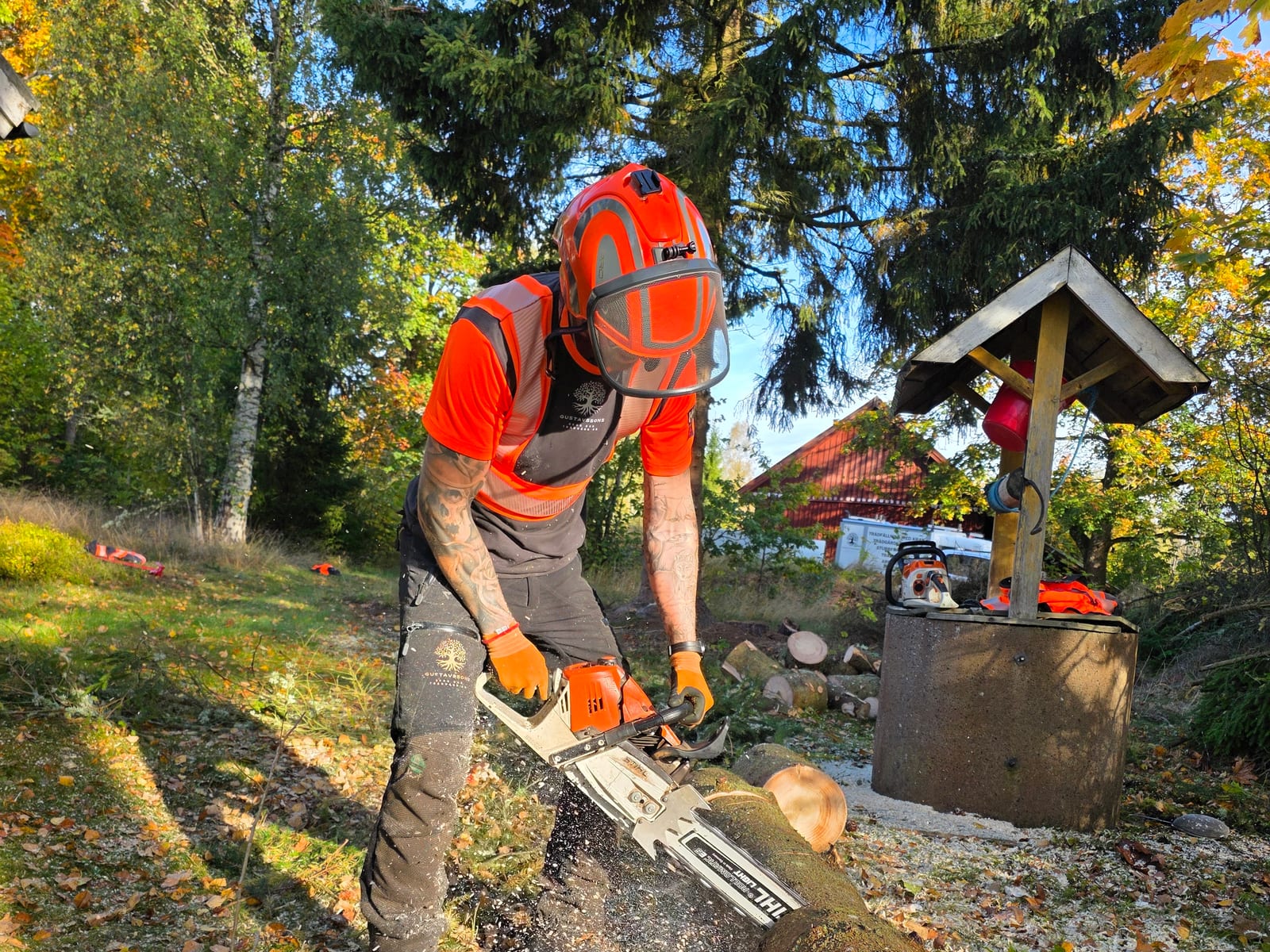 Kontrollerad trädfällning i Kronoberg
